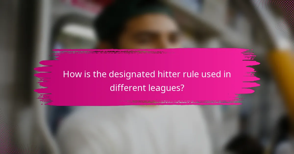 How is the designated hitter rule used in different leagues?