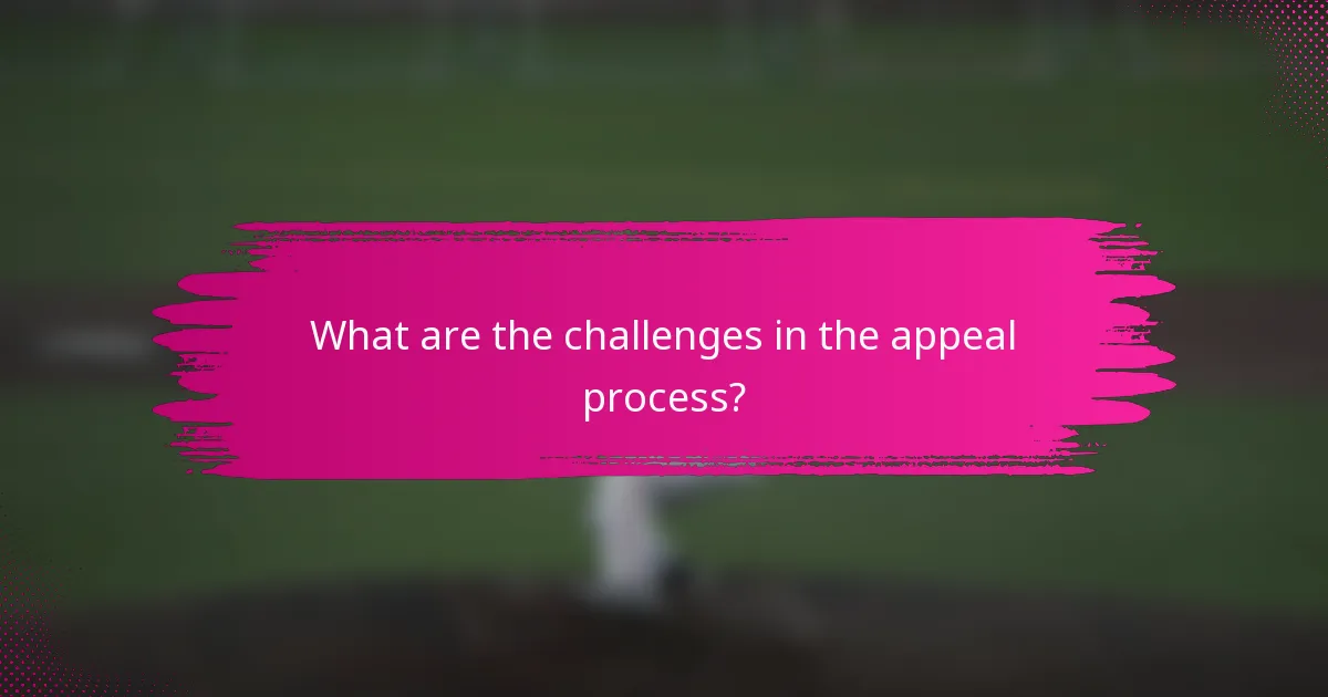 What are the challenges in the appeal process?