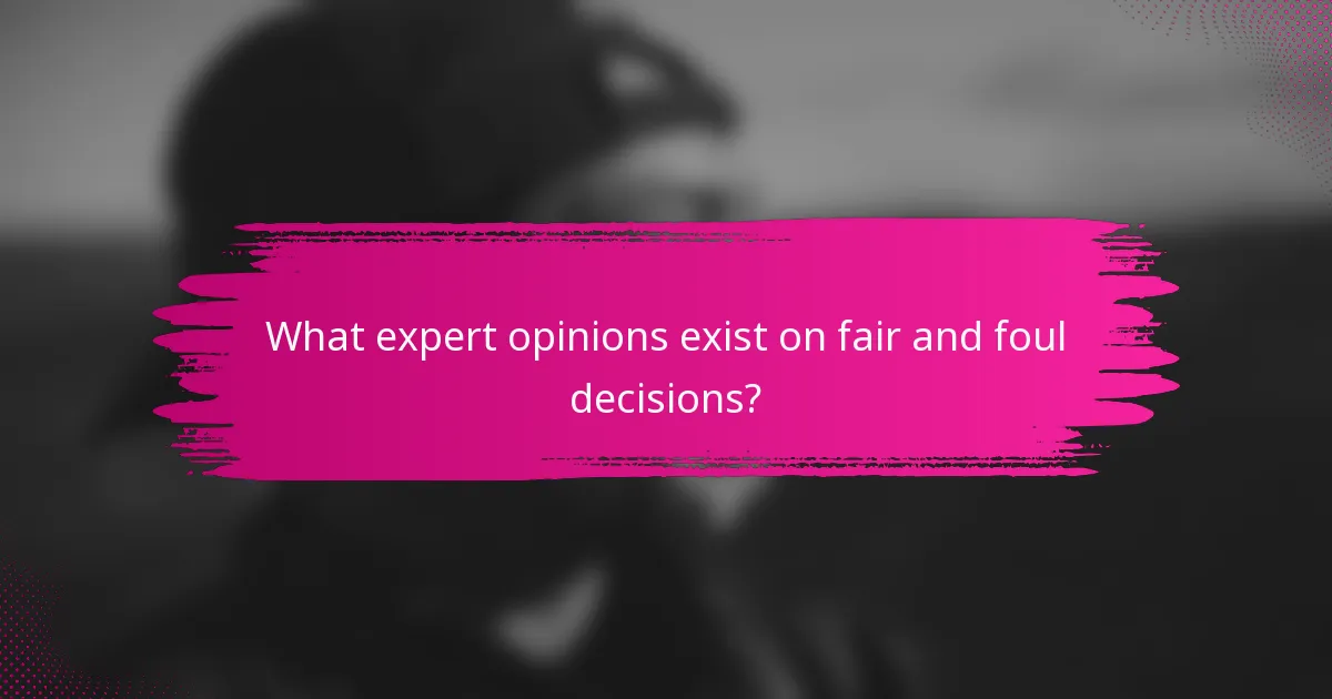 What expert opinions exist on fair and foul decisions?